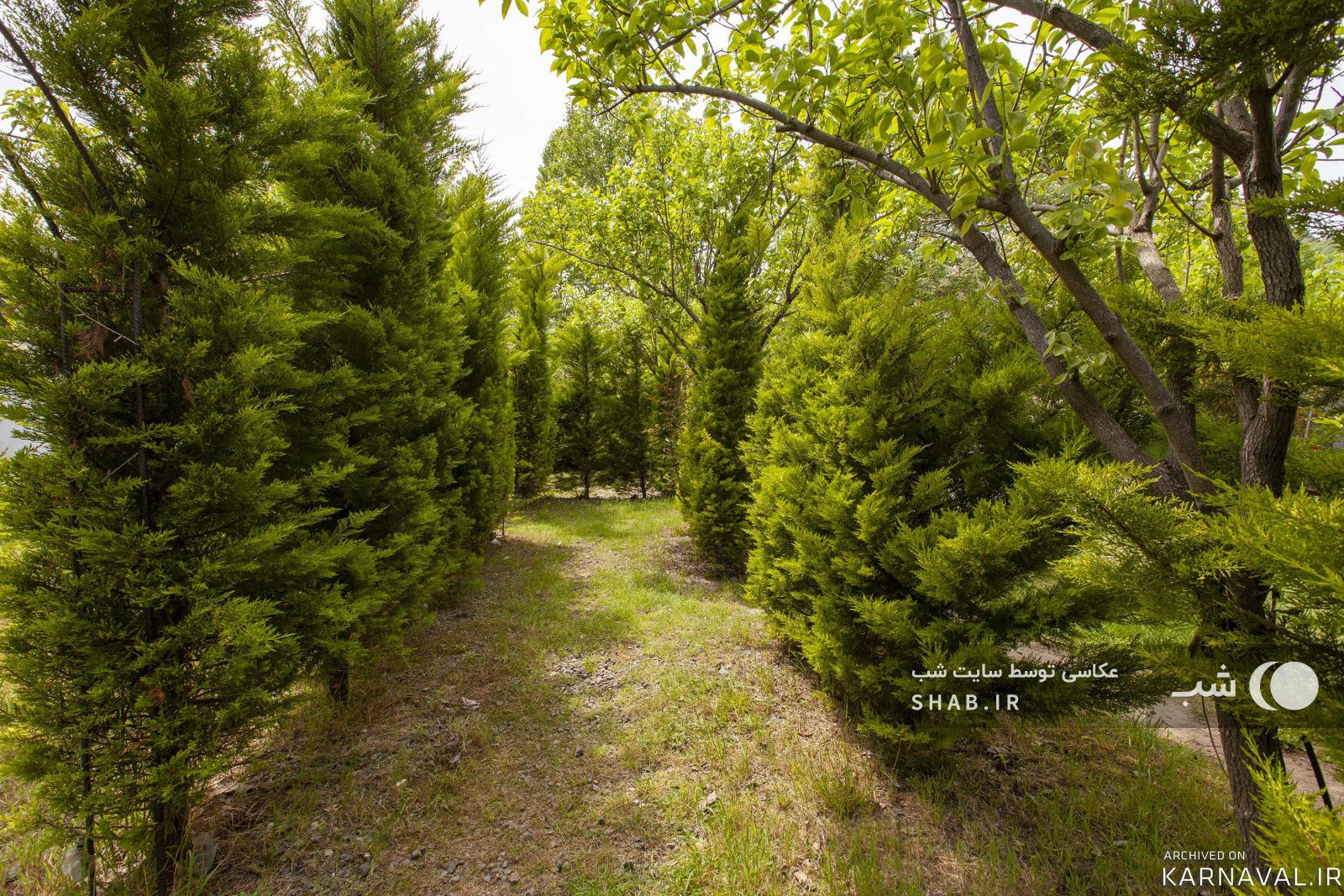 ویلا در مجموعه اقامتی زمرد آستارا
