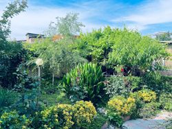 ویلا دربست دنج دوبلکس با استخر ابگرم ویلا دربست دنج دوبلکس با استخر ابگرم