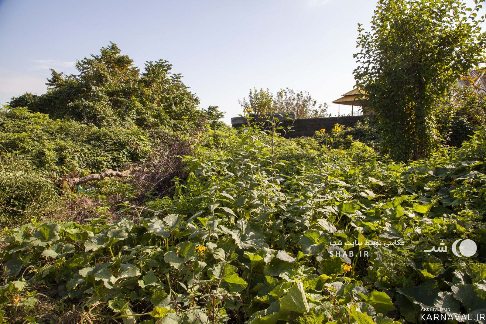 ویلای استخردار سه خوابه