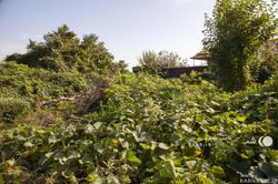 ویلای استخردار سه خوابه ویلای استخردار سه خوابه