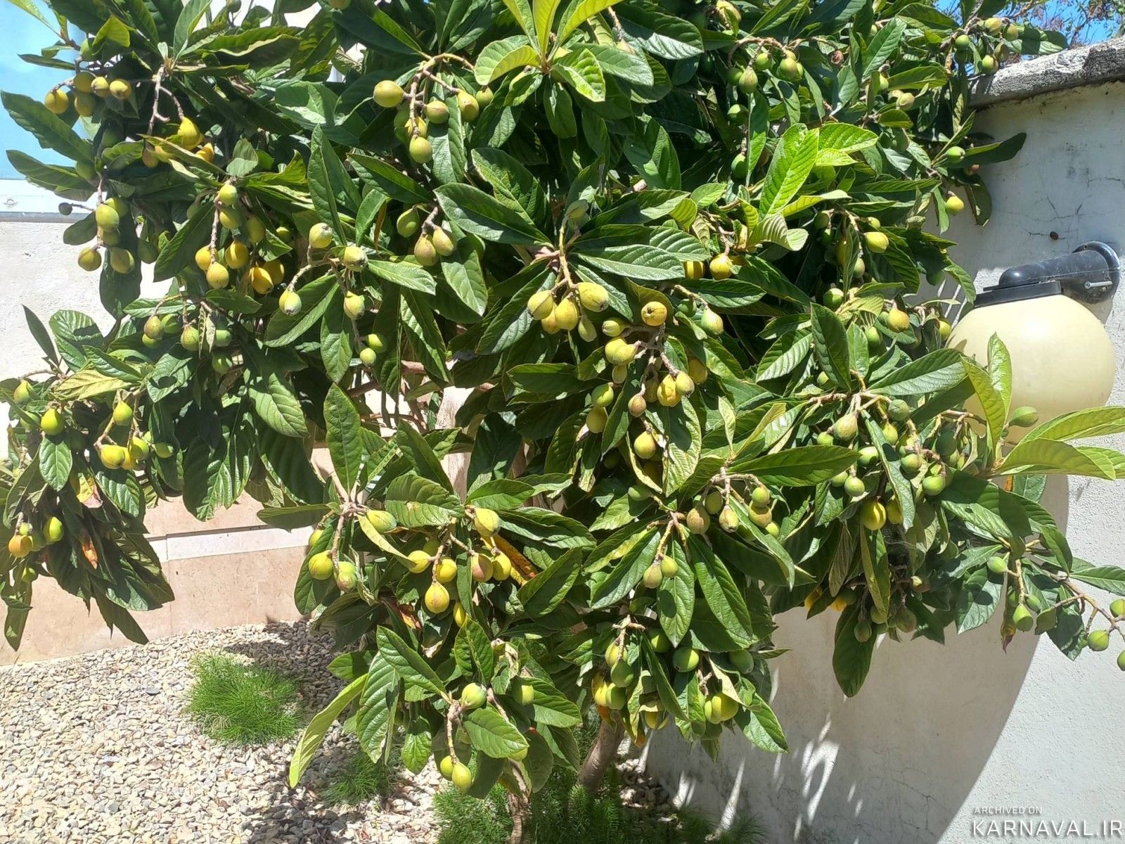 ویلای استخردار سه خوابه