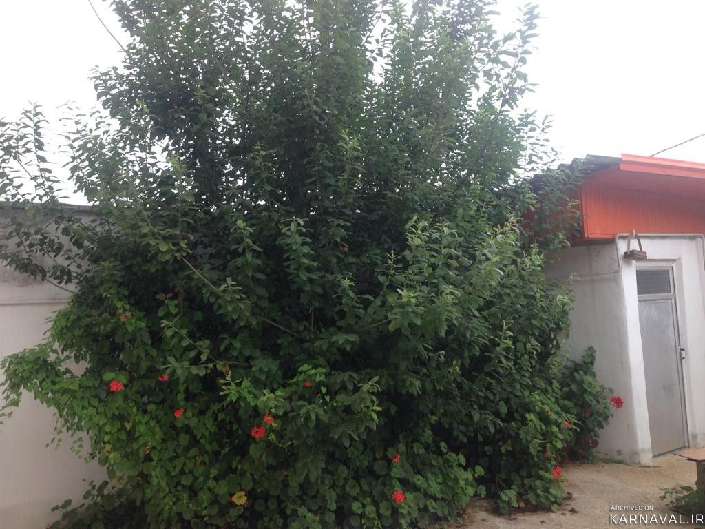 ویلای در شیرگاه نزدیک به سد سنبل رود