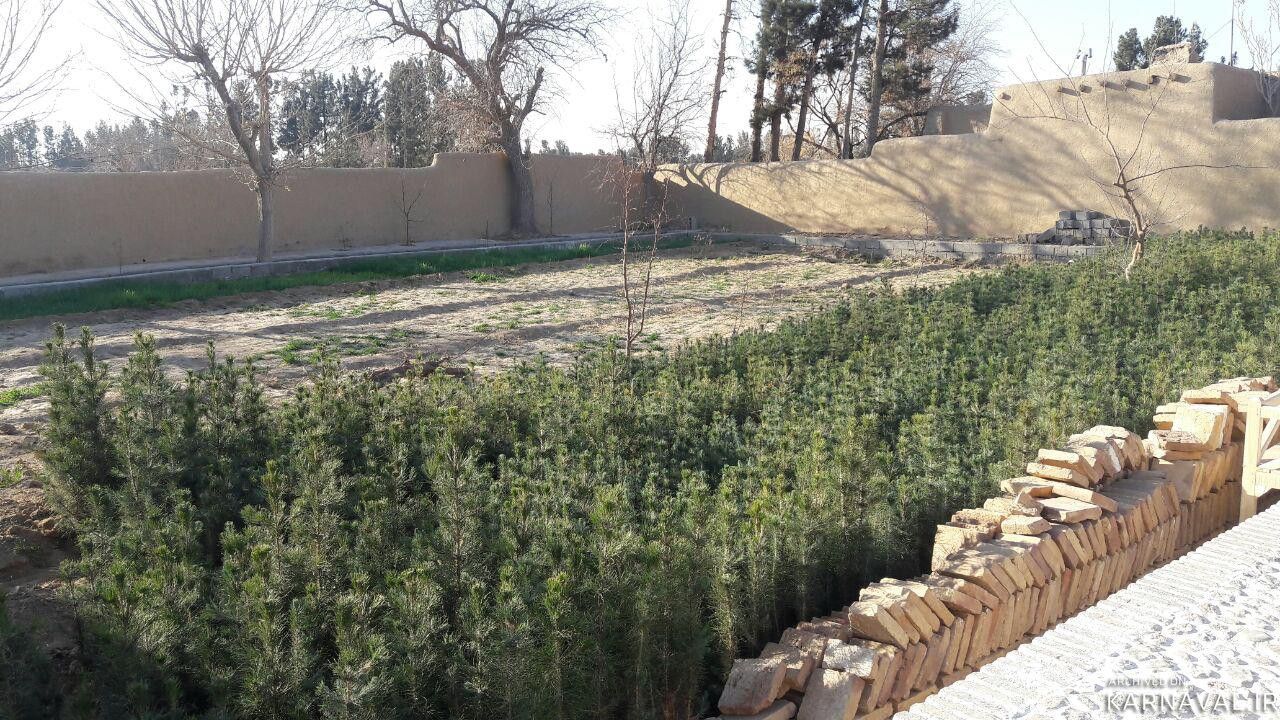 اقامتگاه بومگردی "پور یعقوب" اتاق (5)