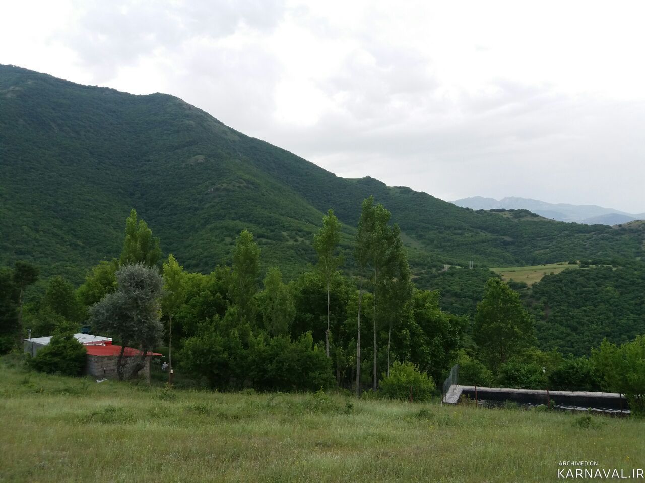 سوییت جنگلی کلیبر 4