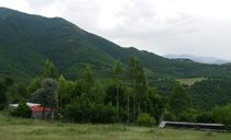 سوییت جنگلی کلیبر 4 سوییت جنگلی کلیبر 4