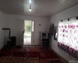 سوییت جنگلی کلیبر 4 سوییت جنگلی کلیبر 4