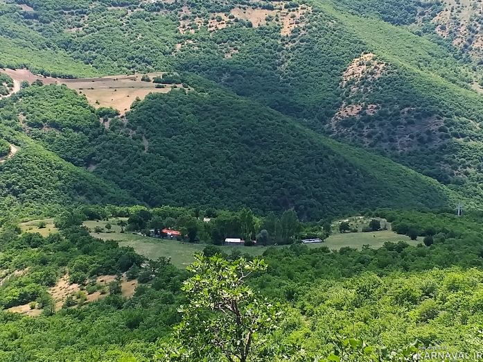 سوییت جنگلی کلیبر 4