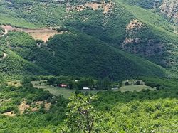 سوییت جنگلی کلیبر 4 سوییت جنگلی کلیبر 4