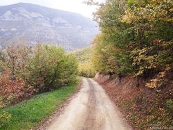 سوییت جنگلی کلیبر 4 سوییت جنگلی کلیبر 4