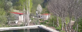 سوییت جنگلی کلیبر3 سوییت جنگلی کلیبر3