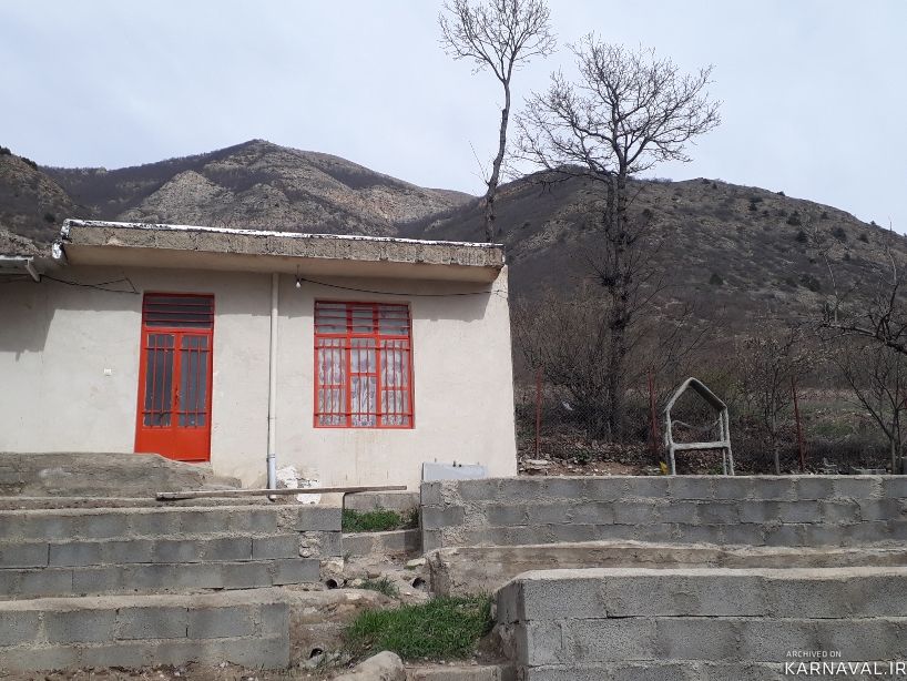 سوییت جنگلی کلیبر3