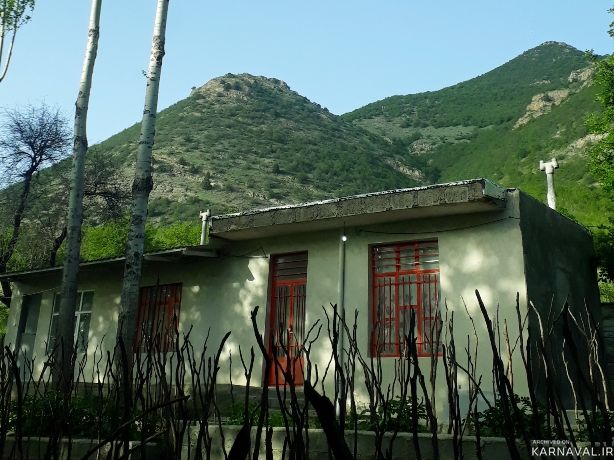 سوییت جنگلی کلیبر3