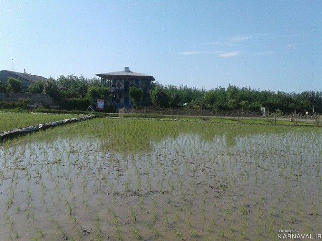 اقامتگاه بومگردی "گیشار" اتاق گیشار