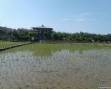 اقامتگاه بومگردی "گیشار" اتاق گیشار اقامتگاه بومگردی "گیشار" اتاق گیشار