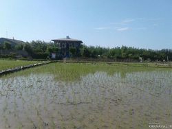 اقامتگاه بومگردی "گیشار" اتاق گیشار اقامتگاه بومگردی "گیشار" اتاق گیشار