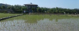 اقامتگاه بومگردی "گیشار" اتاق گیشار اقامتگاه بومگردی "گیشار" اتاق گیشار