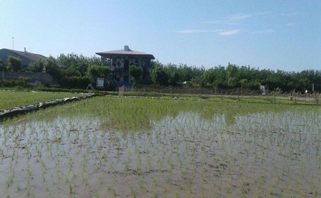 اقامتگاه بومگردی "گیشار" اتاق گیشار اقامتگاه بومگردی "گیشار" اتاق گیشار