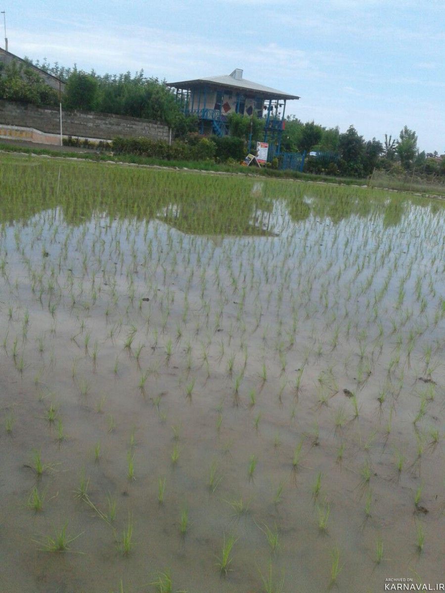 اقامتگاه بومگردی "گیشار" اتاق گیشار