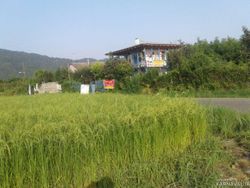 اقامتگاه بومگردی "گیشار" اتاق گیشار اقامتگاه بومگردی "گیشار" اتاق گیشار