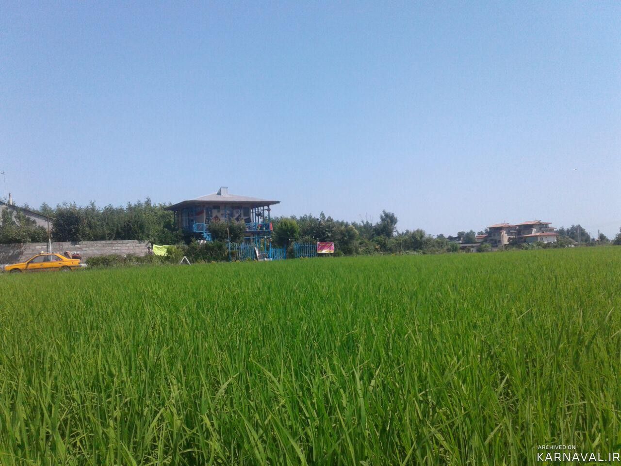 اقامتگاه بومگردی "گیشار" اتاق گیشار