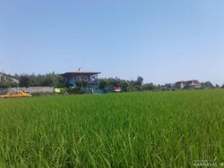 اقامتگاه بومگردی "گیشار" اتاق گیشار اقامتگاه بومگردی "گیشار" اتاق گیشار