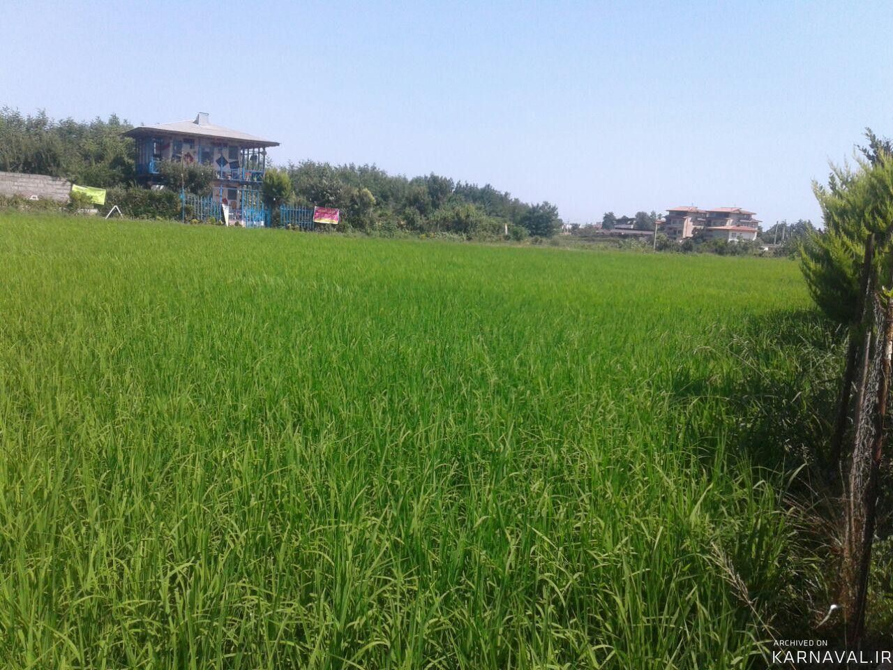 اقامتگاه بومگردی "گیشار" اتاق گیشار