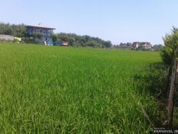 اقامتگاه بومگردی "گیشار" اتاق گیشار اقامتگاه بومگردی "گیشار" اتاق گیشار