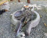 اقامتگاه بومگردی "کاهار" اتاق (3) اقامتگاه بومگردی "کاهار" اتاق (3)