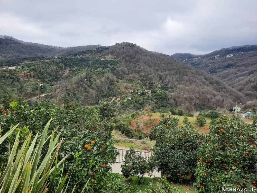 ویلا جنگلی دربست۲ رامسر