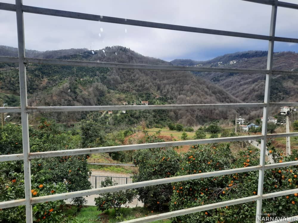 ویلا جنگلی دربست۲ رامسر