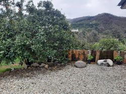 ویلا جنگلی دربست۲ رامسر ویلا جنگلی دربست۲ رامسر