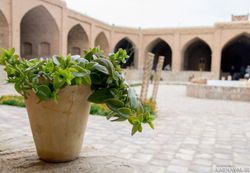 کاروانسرای کویری رباط "کلمرد" اتاق 2 کاروانسرای کویری رباط "کلمرد" اتاق 2