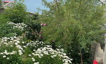 سوییت بسیار تمیز در فیلبند اقیانوس ابرها سوییت بسیار تمیز در فیلبند اقیانوس ابرها