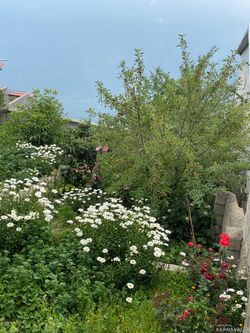 سوییت بسیار تمیز در فیلبند اقیانوس ابرها سوییت بسیار تمیز در فیلبند اقیانوس ابرها