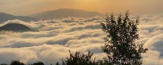 سوییت بسیار تمیز در فیلبند اقیانوس ابرها سوییت بسیار تمیز در فیلبند اقیانوس ابرها