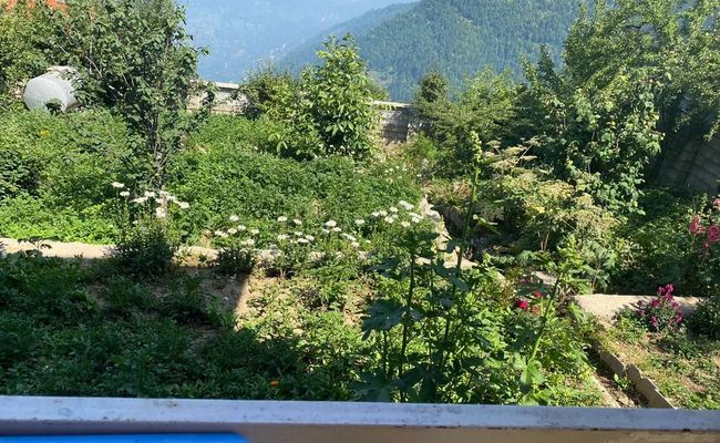 سوییت بسیار تمیز در فیلبند اقیانوس ابرها سوییت بسیار تمیز در فیلبند اقیانوس ابرها