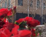 اقامتگاه بومگردی "حاجی اسماعیل" اتاق 1 اقامتگاه بومگردی "حاجی اسماعیل" اتاق 1