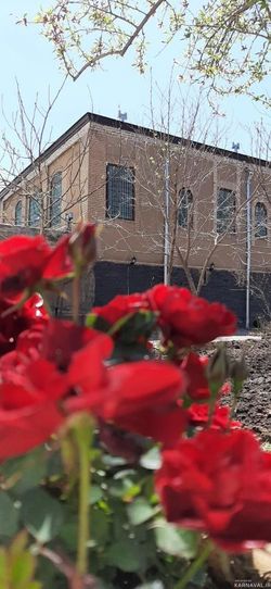 اقامتگاه بومگردی "حاجی اسماعیل" اتاق 7 اقامتگاه بومگردی "حاجی اسماعیل" اتاق 7