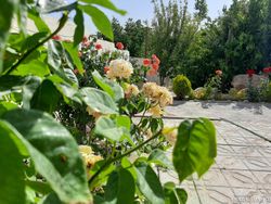 ویلا باغ گردو ، دماوند
ویلا باغ گردو ، دماوند