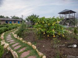 اقامتگاه بومگردی "ممرز" اتاق (1) اقامتگاه بومگردی "ممرز" اتاق (1)