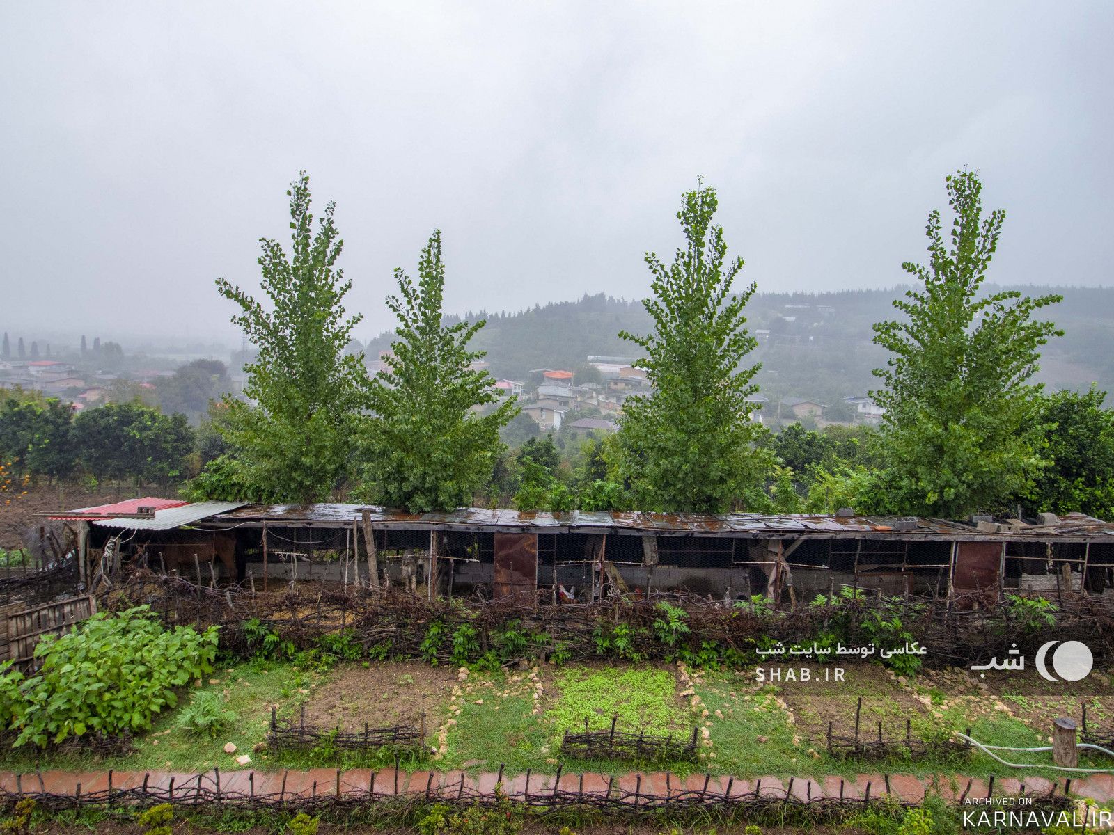 اقامتگاه بومگردی "ممرز" اتاق (1)