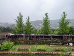 اقامتگاه بومگردی "ممرز" اتاق (1) اقامتگاه بومگردی "ممرز" اتاق (1)