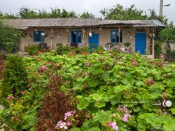 اقامتگاه بومگردی "ممرز" اتاق (1) اقامتگاه بومگردی "ممرز" اتاق (1)