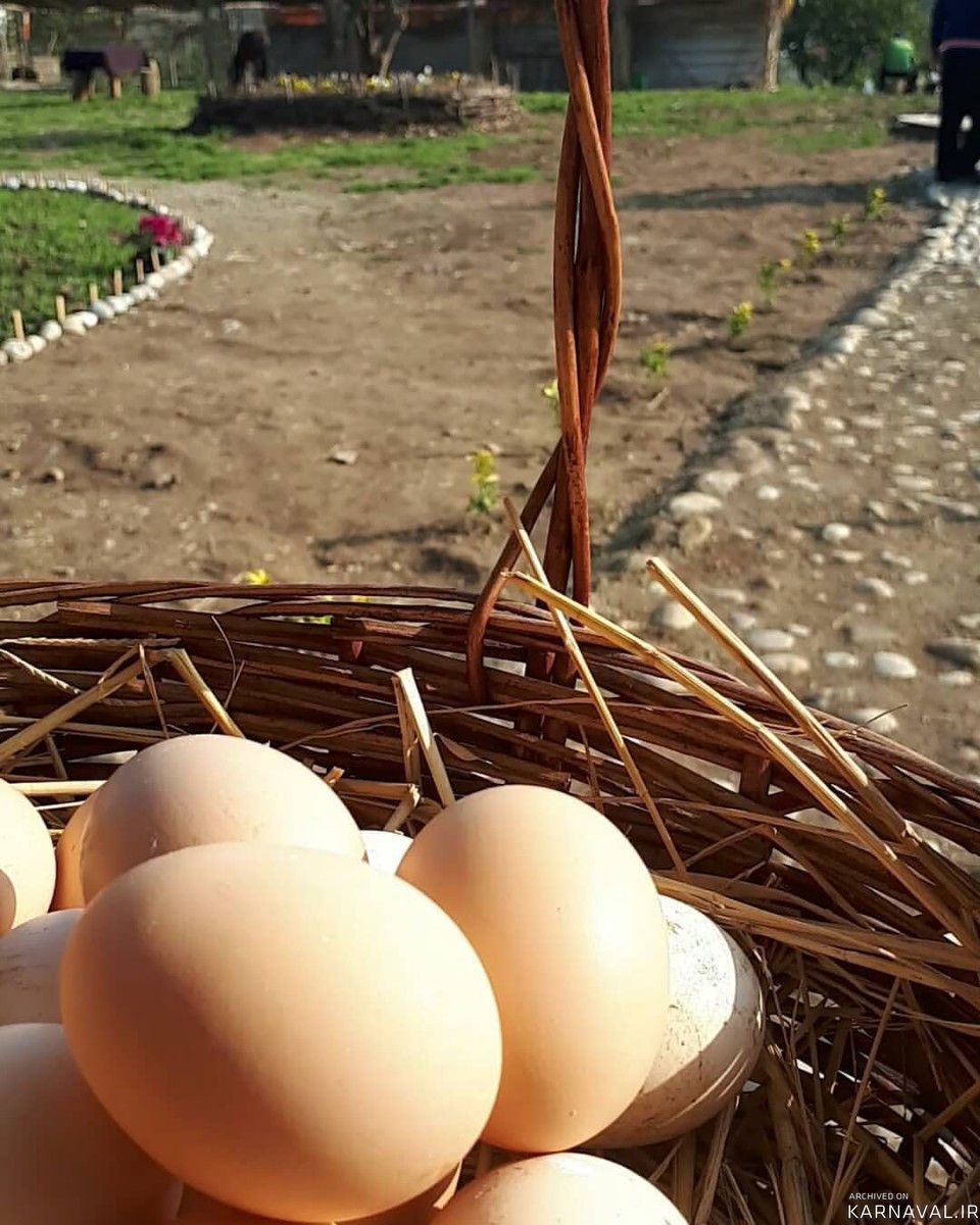 اقامتگاه بومگردی گالِش مِنزِل(تجربه زندگی روستایی)