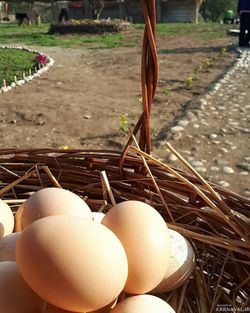 اقامتگاه بومگردی گالِش مِنزِل(تجربه زندگی روستایی) اقامتگاه بومگردی گالِش مِنزِل(تجربه زندگی روستایی)