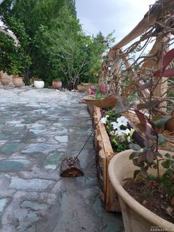 اقامتگاه متا(اتاق 4 تخته 1) اقامتگاه متا(اتاق 4 تخته 1)