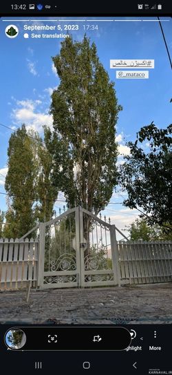 اقامتگاه متا(اتاق 4 تخته 1) اقامتگاه متا(اتاق 4 تخته 1)