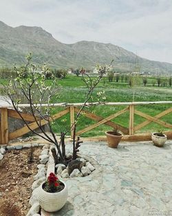 اتاق ۴ تخته شماره ۳ اتاق ۴ تخته شماره ۳