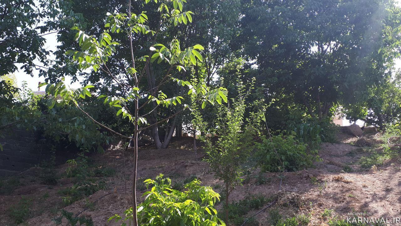 ویلا باغ گردو ، دماوند
