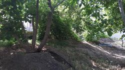 ویلا باغ گردو ، دماوند
ویلا باغ گردو ، دماوند